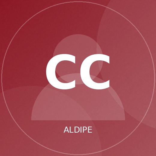 Commissaire aux comptes